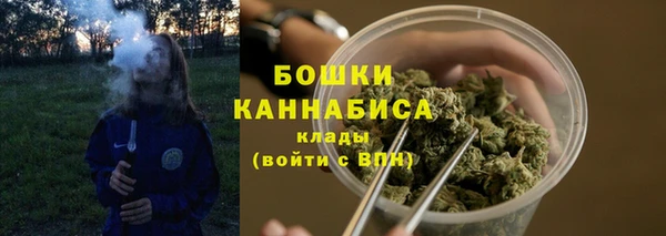 крисы Костерёво