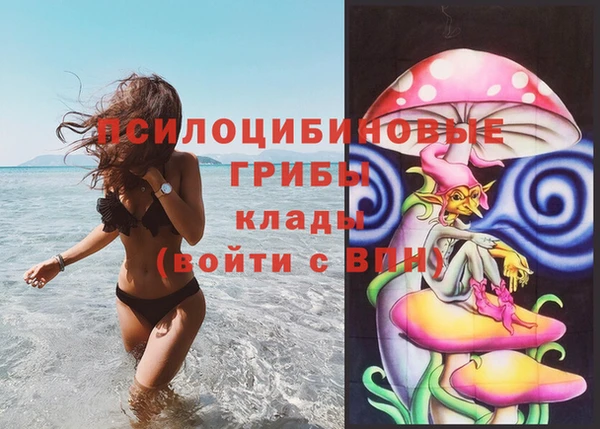 дживик Алзамай