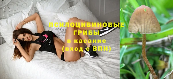 синтетический гашиш Алексеевка