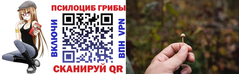 Псилоцибиновые грибы GOLDEN TEACHER  купить  цена  площадка Telegram  Златоуст 