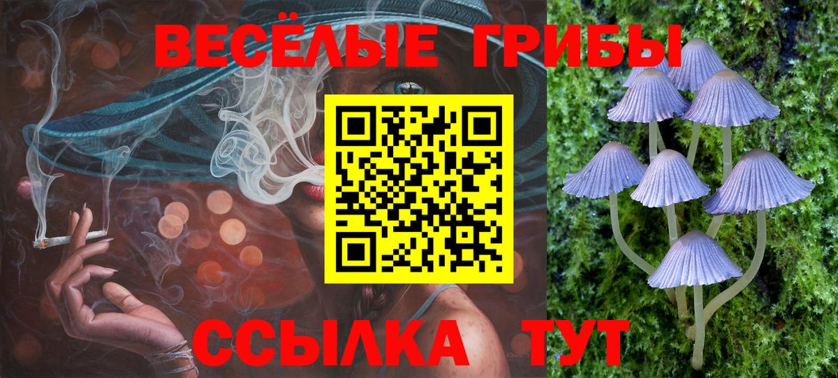 Псилоцибиновые грибы Psilocybine cubensis Златоуст
